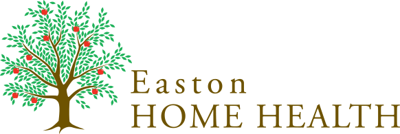 Home Care Agencies In Easton Pa